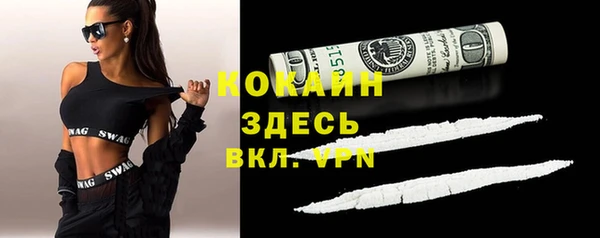 ПСИЛОЦИБИНОВЫЕ ГРИБЫ Нея