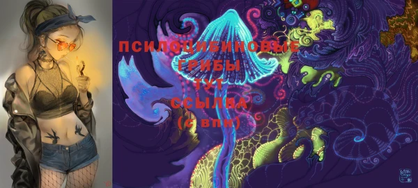 ПСИЛОЦИБИНОВЫЕ ГРИБЫ Нея