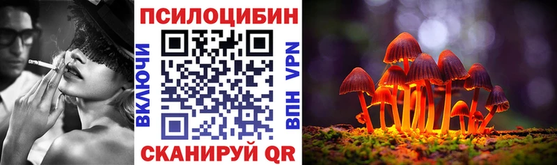 mega ТОР  Кириши  Галлюциногенные грибы Cubensis  цена наркотик 
