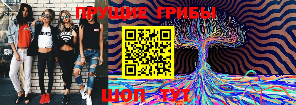 Псилоцибиновые грибы мицелий Кириши