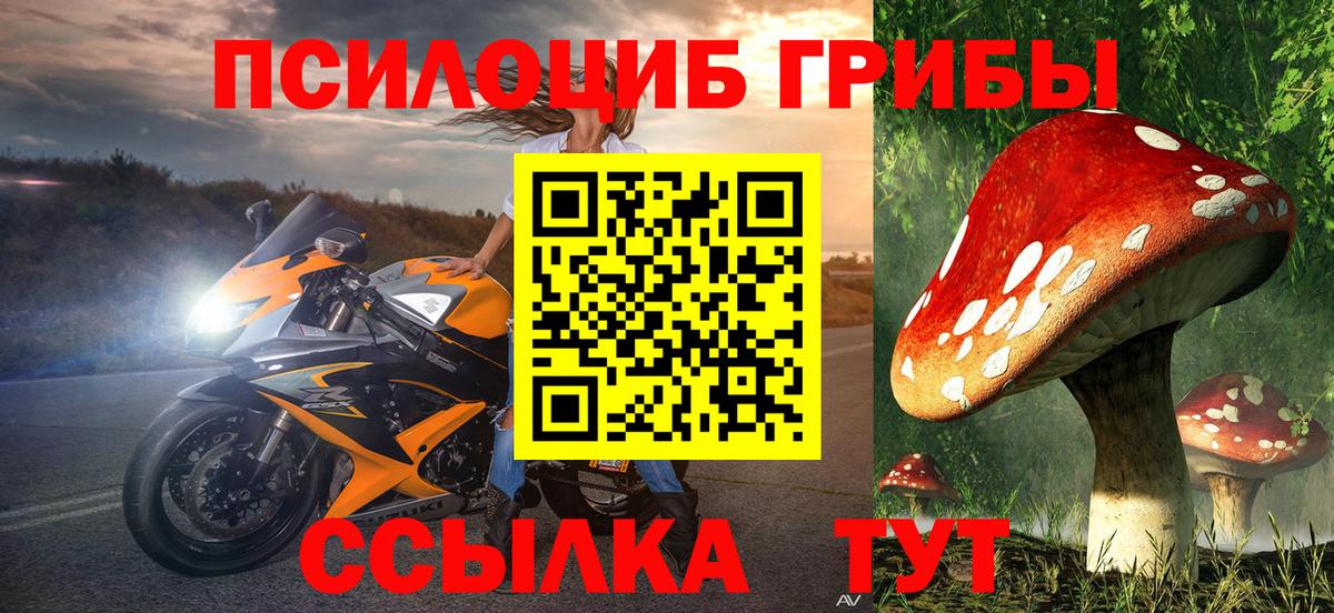Кириши  Псилоцибиновые грибы мицелий  Вход с VPN 