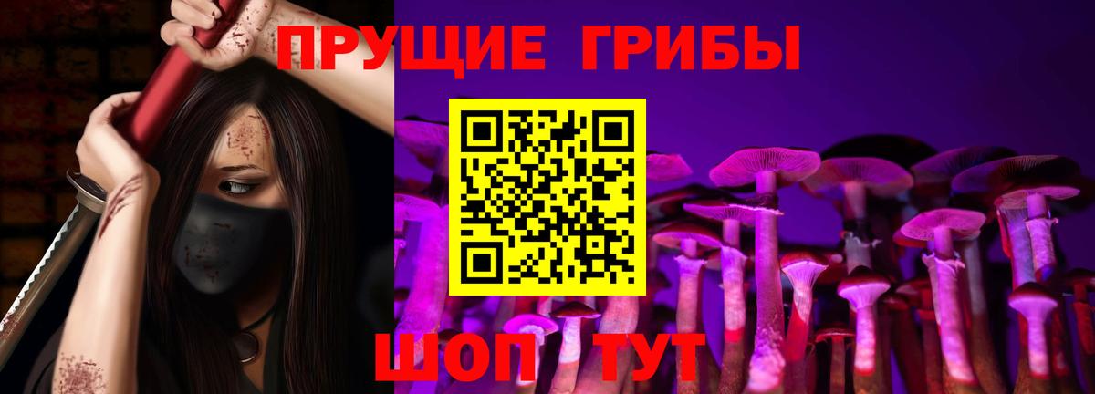 Псилоцибиновые грибы прущие грибы Кириши